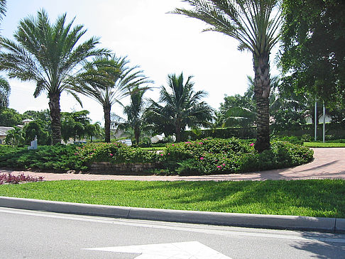 Foto Straßenrand auf Marco Island - Marco Island