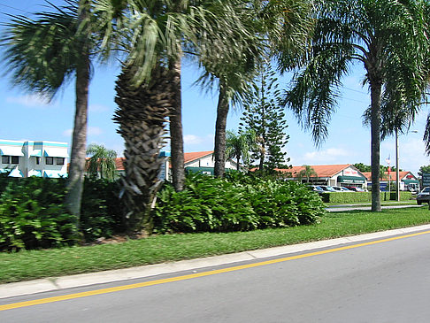 Fotos Straßenrand auf Marco Island | Marco Island