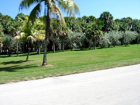 Foto Am Straßenrand - Miami