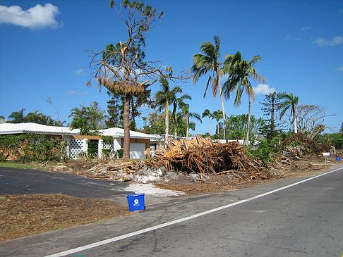 Foto Straßenrand