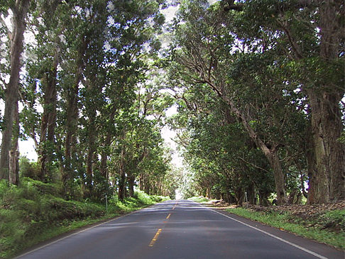 Foto Straßen auf Kauai - 