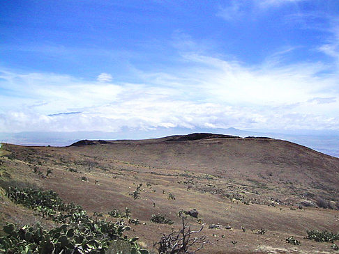 Fotos Trockene Landschaft