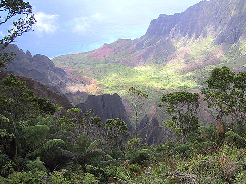 Foto Waimea Canyon - 