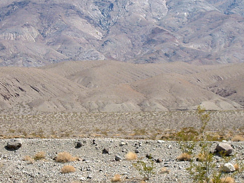 Fotos Panamint Springs - Stovepipe Wells | 