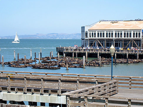 Fotos Fishermans Pier 39 bis 45 | San Francisco