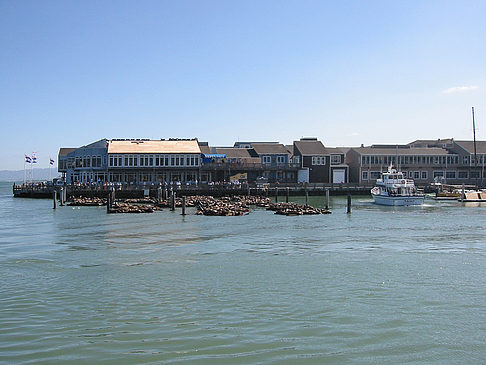 Fishermans Pier 39 bis 45 Foto 