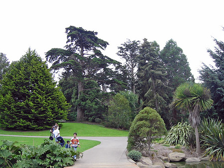 Fotos Golden Gate Park mit Botanischen Garten