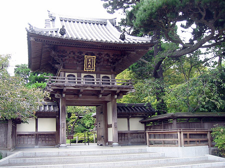 Foto Golden Gate Park mit Botanischen Garten