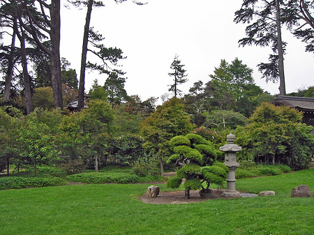 Golden Gate Park mit Botanischen Garten Foto 