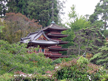 Foto Golden Gate Park mit Botanischen Garten