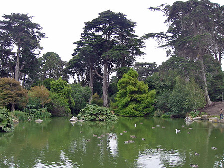 Golden Gate Park mit Botanischen Garten