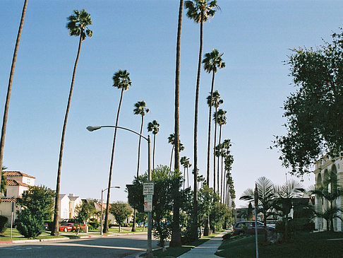 Beverly Hills Foto 