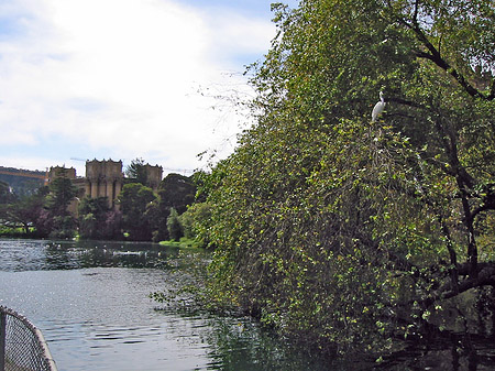 Palace of Fine Arts