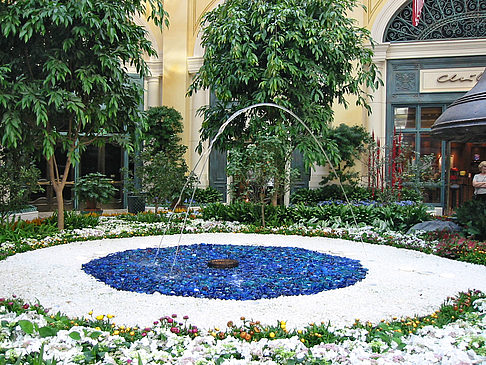 Hotel Bellagio Fotos